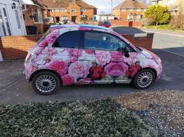 Fresh As A Daisy On Your Drive